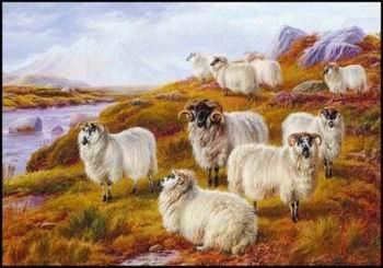 unknow artist Sheep 063 china oil painting image